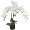 Decovego künstliche Orchidee
