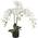 Decovego künstliche Orchidee