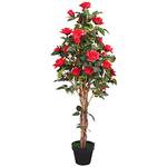 Blume im Topf