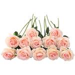 Decpro Rosen