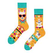 Dedoles Lustige Socken