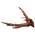Dehner 5032586