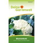 Deine Gartenwelt Blumenkohl