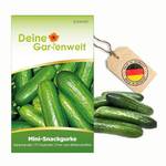 Deine Gartenwelt Mini Snackgurke Salamanda