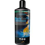 Dennerle Bacto Elixier FB3 Vergleich