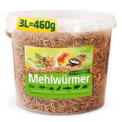 Detox Organica Mehlwürmer