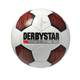 Derbystar Futsal Flash Pro S-Light 1080300132 Vergleich