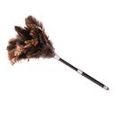 Derstraussenprofi SW10006