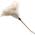 Derstraussenprofi SW10027