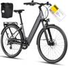 Deruiz Quartz E-Bike