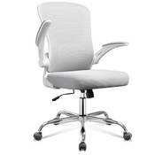Devaise Ergonomischer Bürostuhl Vergleich