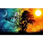 MXJSUA ANYEKA-236 Vergleich