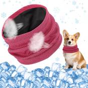Dielovehua Kühlhalsband für Hunde