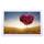 Digital Photo Frames