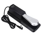 Dilwe Universal Sustain Pedal