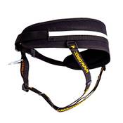 Dingo Waldemar Rutkowski 12780 Vergleich