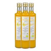 Direct&friendly Condimento Balsamico Bianco mit Mango