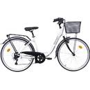Discovery Citybike