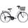 Discovery Adventures Damen Citybike