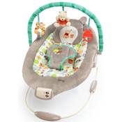Bright Starts Winnie Puuh Babywippe Vergleich