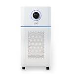 Djive Professional PURE 800