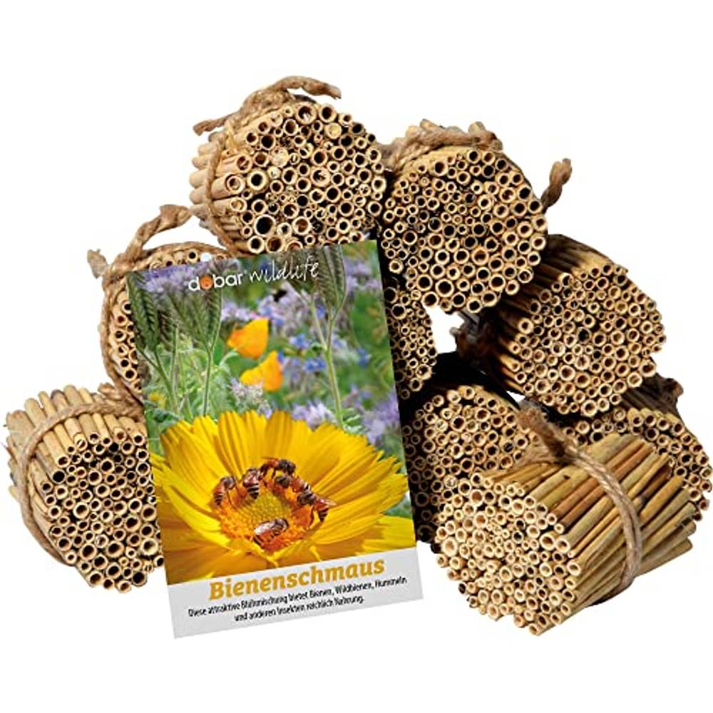 300 Stck Wildbienen Nisthlsen 15cm  Bambus-Rhren Nachfllpack Fr  Insektenhotel