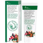 doc phytolabor nature's TEUFELSKRALLE GAULTHERIA ROSMARIN GEL 100ml Vergleich