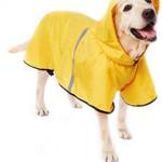 Hunde-Regenmantel