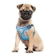 Dociote Hundegeschirr Set mit Leine Vergleich