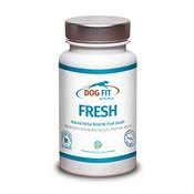 Dog Fit by Prethis 1050