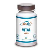 Dog Fit by Prethis Vital Gastro