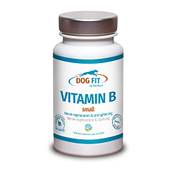 Dog Fit by PreThis Vitamin B