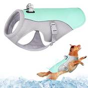 Dolahovy Kühlweste Hund