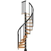 Dolle Spindeltreppe Calgary