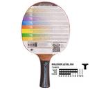 Donic-Schildkröt Waldner 900