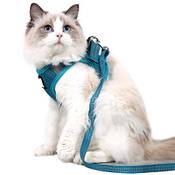 Dotoner Katzengeschirr & Leine Set Vergleich