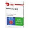 Dr. Wolz Prostata-Tabletten