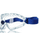 Dräger X-pect 8510 Schutzbrille