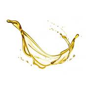 Dragonspice Naturwaren Macadamianussöl Vergleich