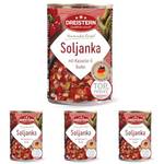 Dreistern Soljanka