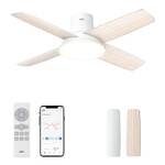 Deckenventilator