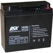 DSK 10365 Vergleich