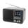 Dual 75299 Smart Radio