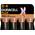 Duracell LR20/MN1300