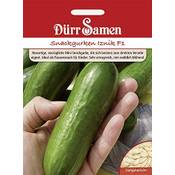 Dürr-Samen 1242