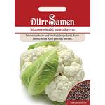 Dürr-Samen Blumenkohl Walcheren