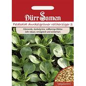 Dürr-Samen Feldsalat-Samen Vergleich