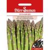 Dürr Samen Grünspargel