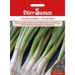 Dürr-Samen Lauchzwiebeln