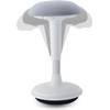 Dynaseat Ds001